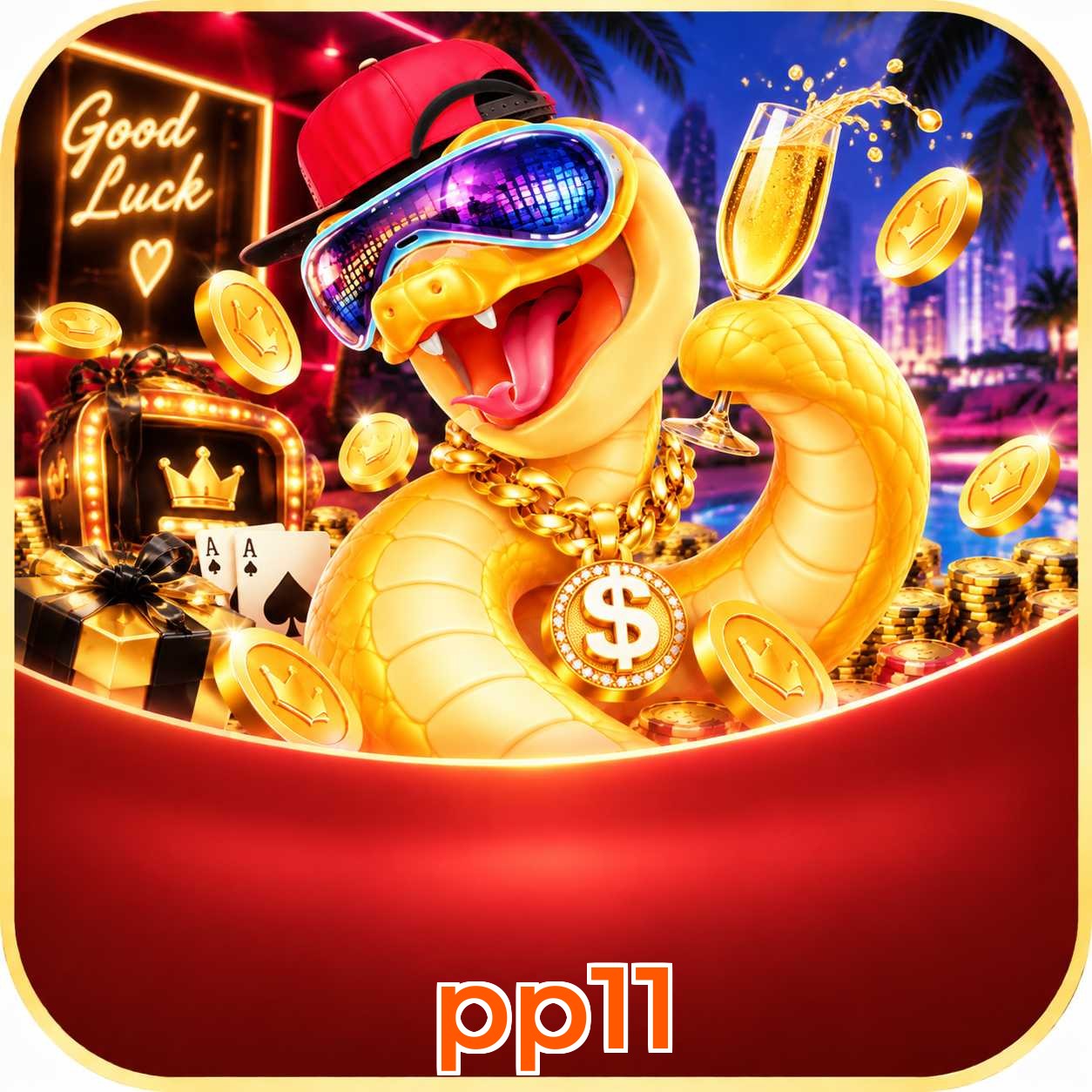 pp11 Suporte